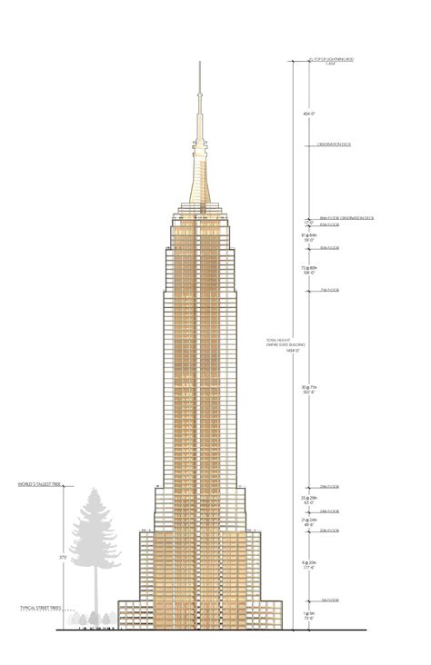 empire state building section